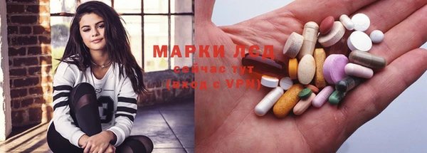 гидра Михайловка
