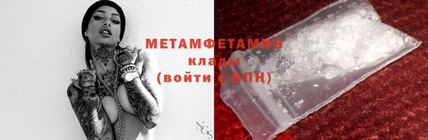 гидра Надым