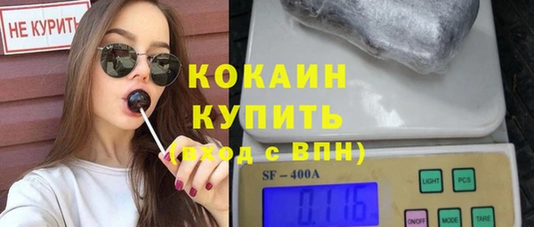 гидра Михайловка