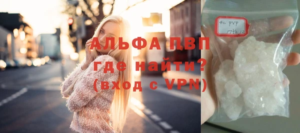 гидра Михайловка