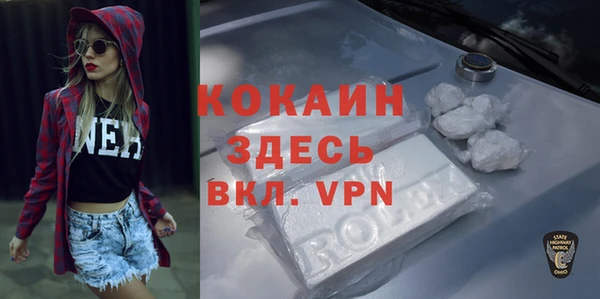 гидра Михайловка