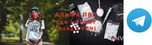 гидра Михайловка