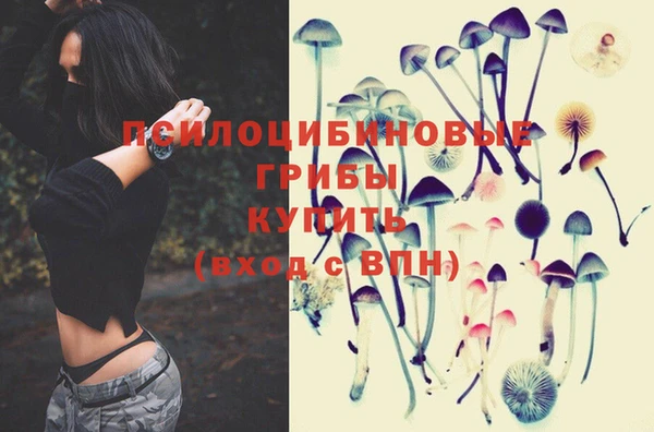 прущие крисы Михайловск