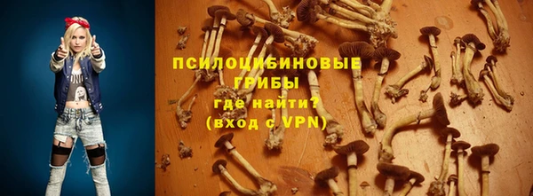 гидра Михайловка